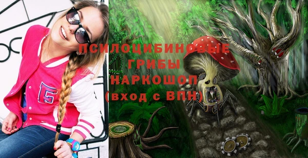 индика Сафоново