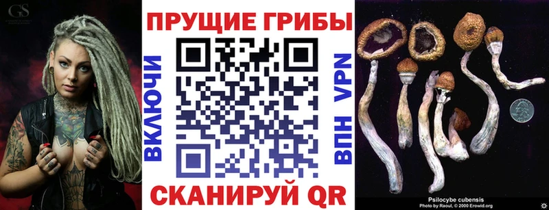 Галлюциногенные грибы мицелий  блэк спрут ONION  Игарка  продажа наркотиков 